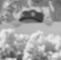 _DSC7685a_edited.jpg