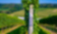 gruner.jpg
